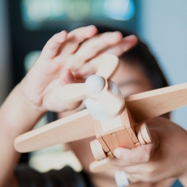 Wooden Plane - White